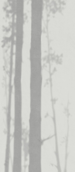  FONDOVALLE DREAM LIGHT SIDE 120x278 