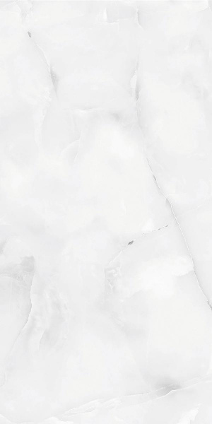  Absolut Gres SNOW ONIX GREY Grey Gloss 1200x600 