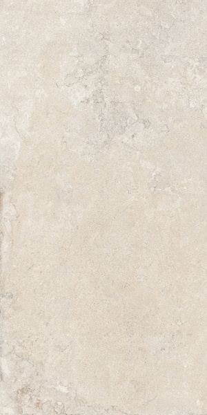 Керамогранит CERCOM STONE VISION LIGHT RET 60x120 1090666
