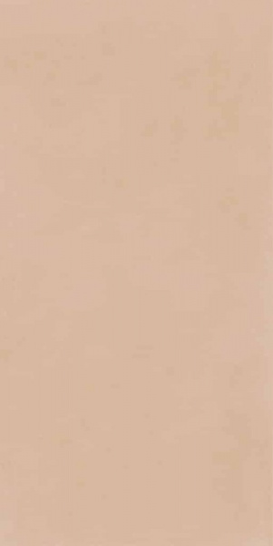 Керамогранит NAXOS PIGMENTA Aurora матовая 60x120 140956