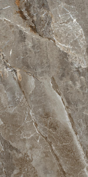  Absolut Gres AQUAFINA NATURAL Natural gloss 1200x600 