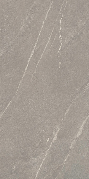 Напольная плитка YURTBAY TIGER Керамогранит YURTBAY TIGER MATT GREY RECT POR TILE 60x120 P14507.6 
