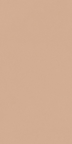 Керамогранит DEL CONCA BIOTERRE Terra матовая 60x120 GCBE06R