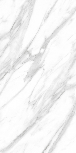  Absolut Gres CALACATA Grey gloss 1200x600 
