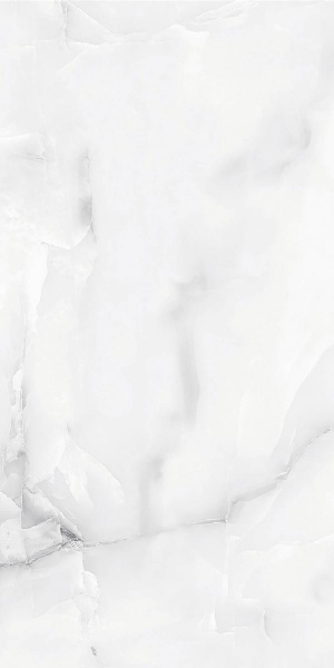  Absolut Gres SNOW ONIX GREY Grey Gloss 1200x600 